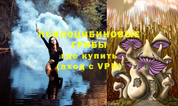 мескалин Бугульма