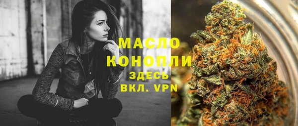 скорость Бородино