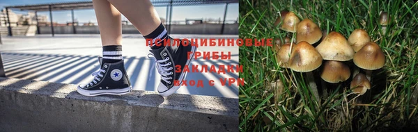 скорость Бородино