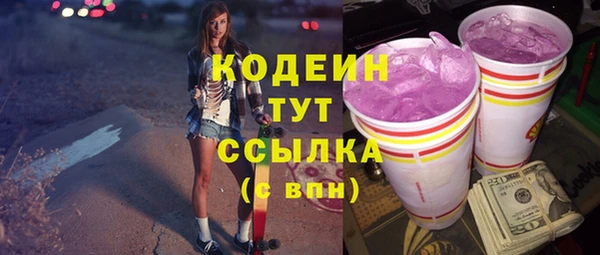 скорость Бородино
